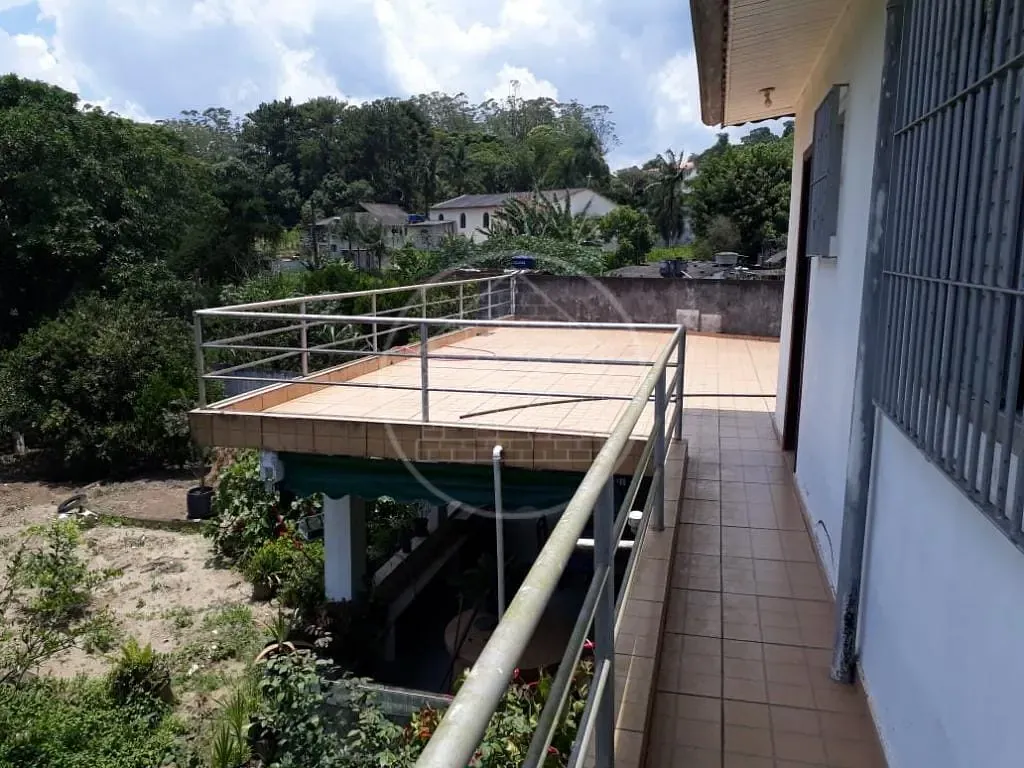 Sítio, 3 quartos, 1800 m² - Foto 4