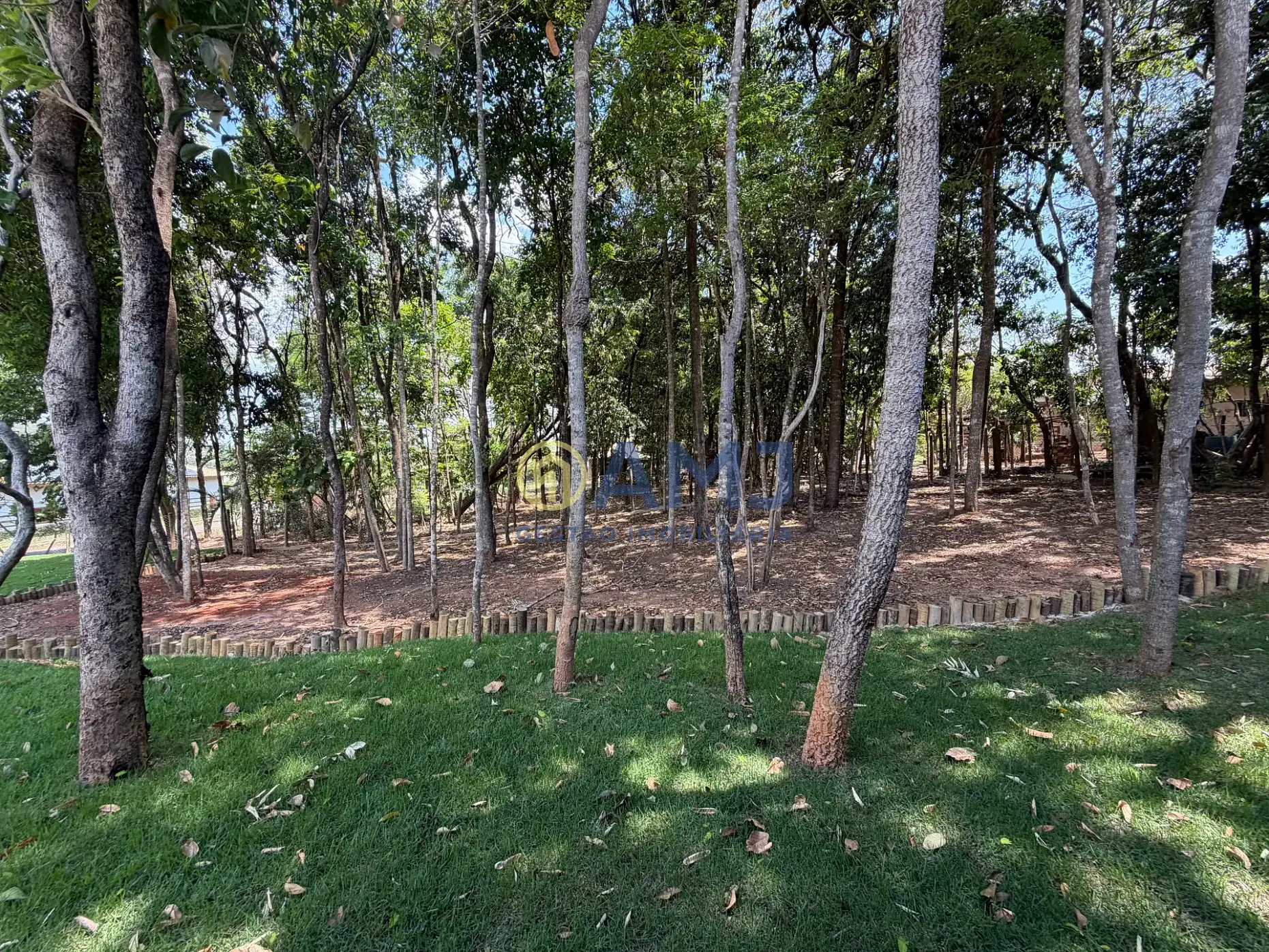 Chácara, 3 quartos, 1387 m² - Foto 10