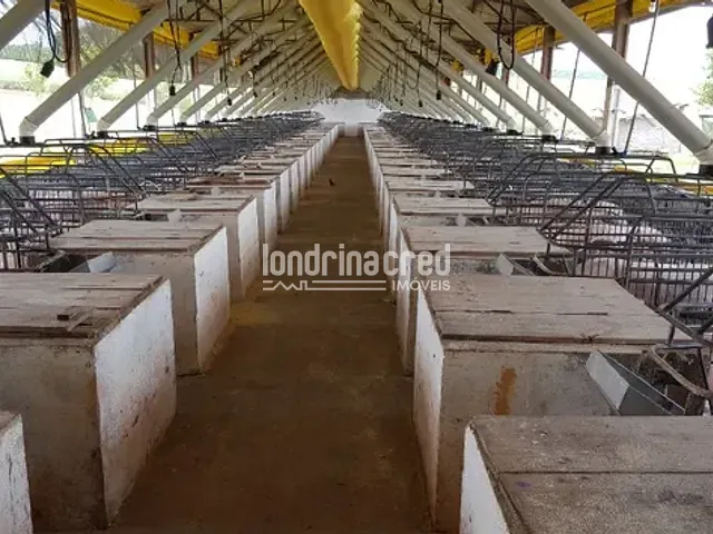 Chácara com 242000m², à venda, no bairro Zona Rural em Ouro Verde Do Oeste