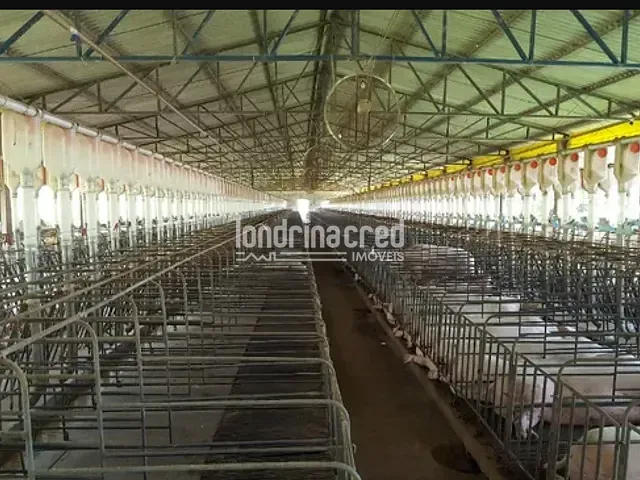 Chácara com 242000m², à venda, no bairro Zona Rural em Ouro Verde Do Oeste