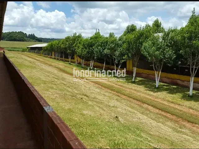 Chácara com 242000m², à venda, no bairro Zona Rural em Ouro Verde Do Oeste