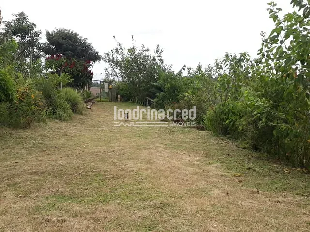 Chácara com 5055m², à venda, no bairro Fazenda Itaúna em Londrina