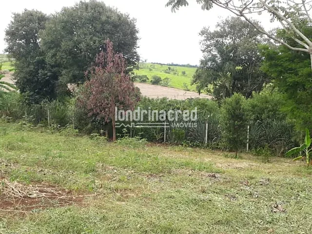 Chácara com 5055m², à venda, no bairro Fazenda Itaúna em Londrina