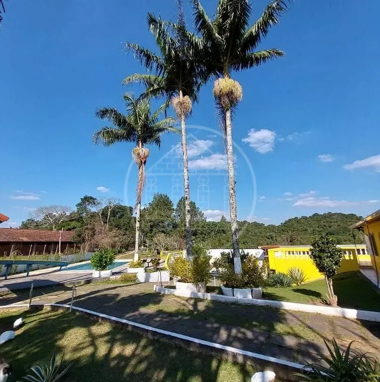 Sítio, 3 quartos, 4800 m² - Foto 3