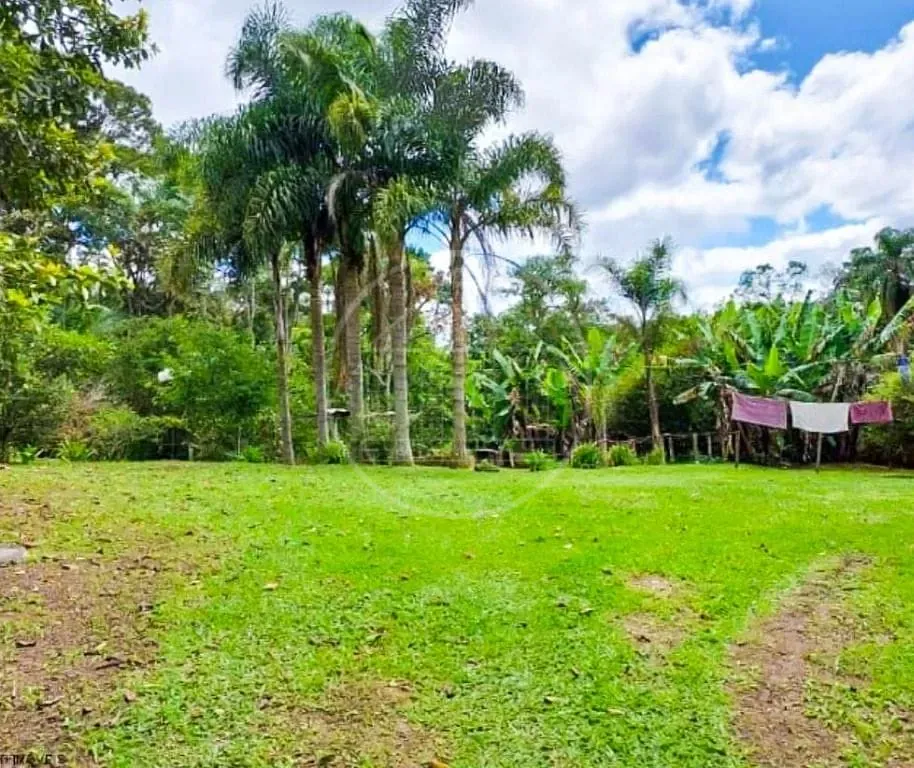 Sítio, 4 quartos, 3000 m² - Foto 6