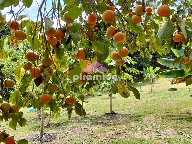 Chácara com 6160m² 5 quartos e 4 banheiros, à venda, no bairro Área Rural de Paraibuna em Paraibuna
