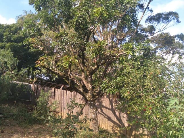 Foto do Chácara - Chácara à venda, Ivoturucaia, Jundiaí, SP | Copette Imóveis