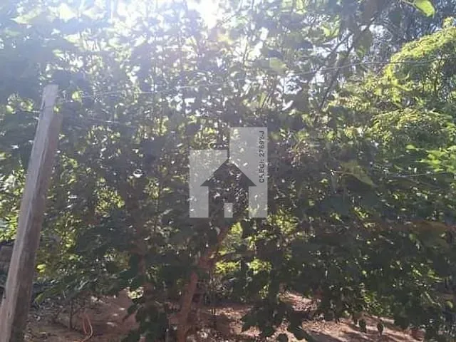 Chácara com 1000m² 3 quartos e 2 banheiros, à venda, no bairro Ivoturucaia em Jundiaí