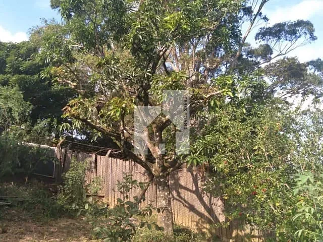 Chácara com 1000m² 3 quartos e 2 banheiros, à venda, no bairro Ivoturucaia em Jundiaí