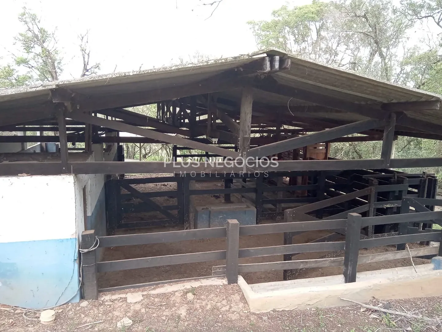 Chácara, 8 quartos, 7 hectares - Foto 7