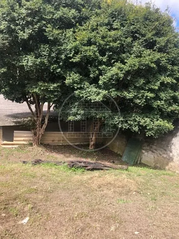 Sítio, 4 quartos, 1400 m² - Foto 7