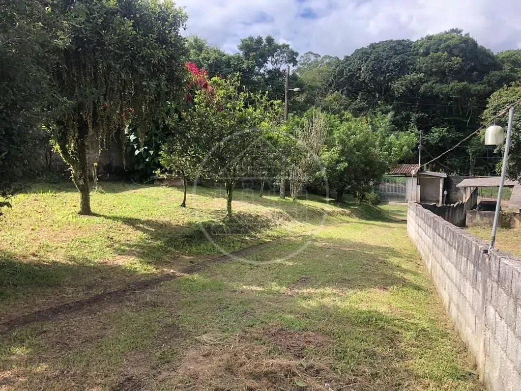 Sítio, 4 quartos, 1400 m² - Foto 6