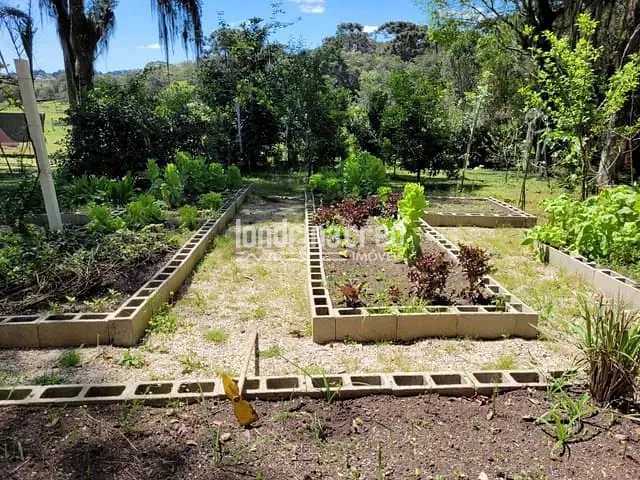 Sítio, 1 quarto, 4 hectares - Foto 4
