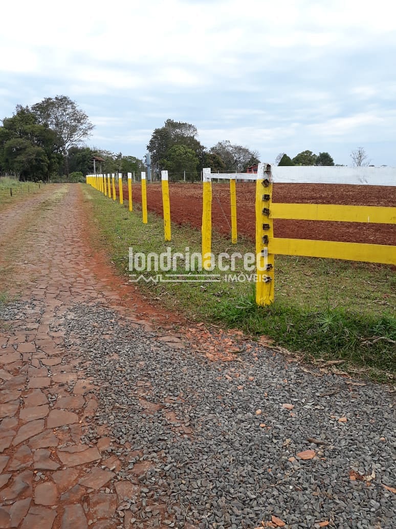 Sítio, 1 quarto, 5 hectares - Foto 2