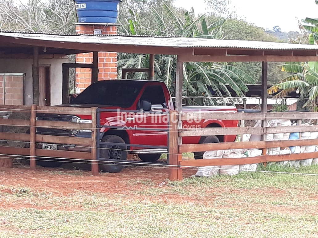 Sítio, 1 quarto, 5 hectares - Foto 4