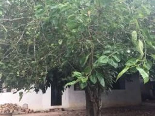 Foto do Chácara - Chácara com 3 dormitórios à venda, 1500 m² por R$ 700.000,00 - Chácaras Pousada do Vale - São José dos Campos/SP | INDEPENDENCE NEGOCIOS IMOBILIARIOS LTDA