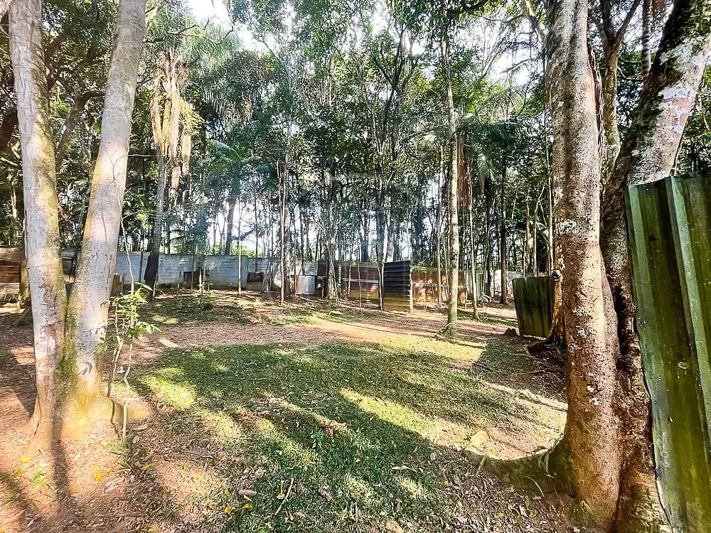 Sítio, 3 quartos, 7426 m² - Foto 77