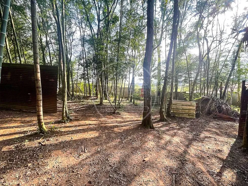 Sítio, 3 quartos, 7426 m² - Foto 4