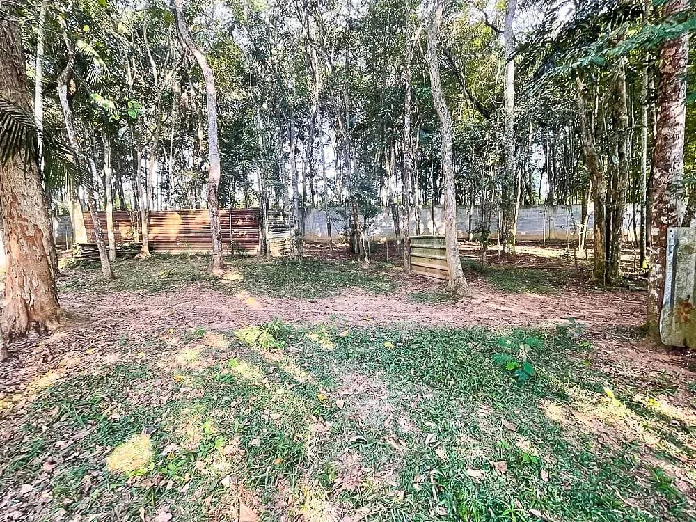 Sítio, 3 quartos, 7426 m² - Foto 84