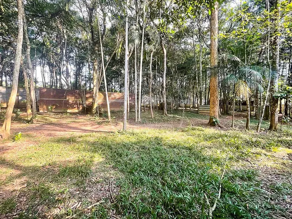 Sítio, 3 quartos, 7426 m² - Foto 89