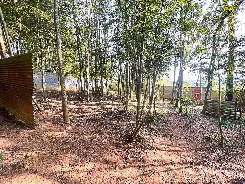 Sítio, 3 quartos, 7426 m² - Foto 5