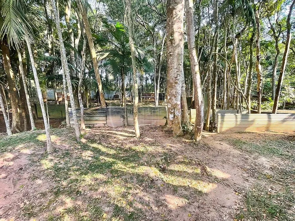 Sítio, 3 quartos, 7426 m² - Foto 74