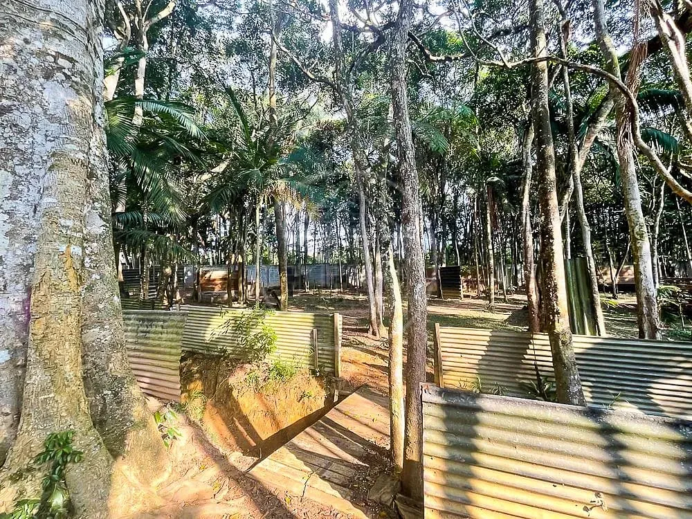 Sítio, 3 quartos, 7426 m² - Foto 75