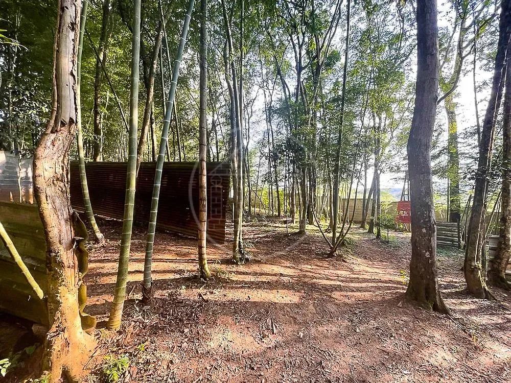 Sítio, 3 quartos, 7426 m² - Foto 88