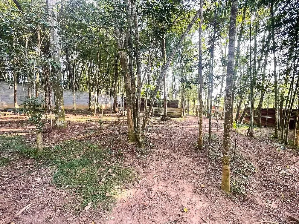 Sítio, 3 quartos, 7426 m² - Foto 86