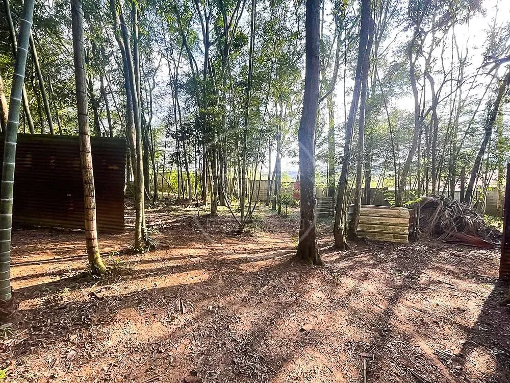 Sítio, 3 quartos, 7426 m² - Foto 87