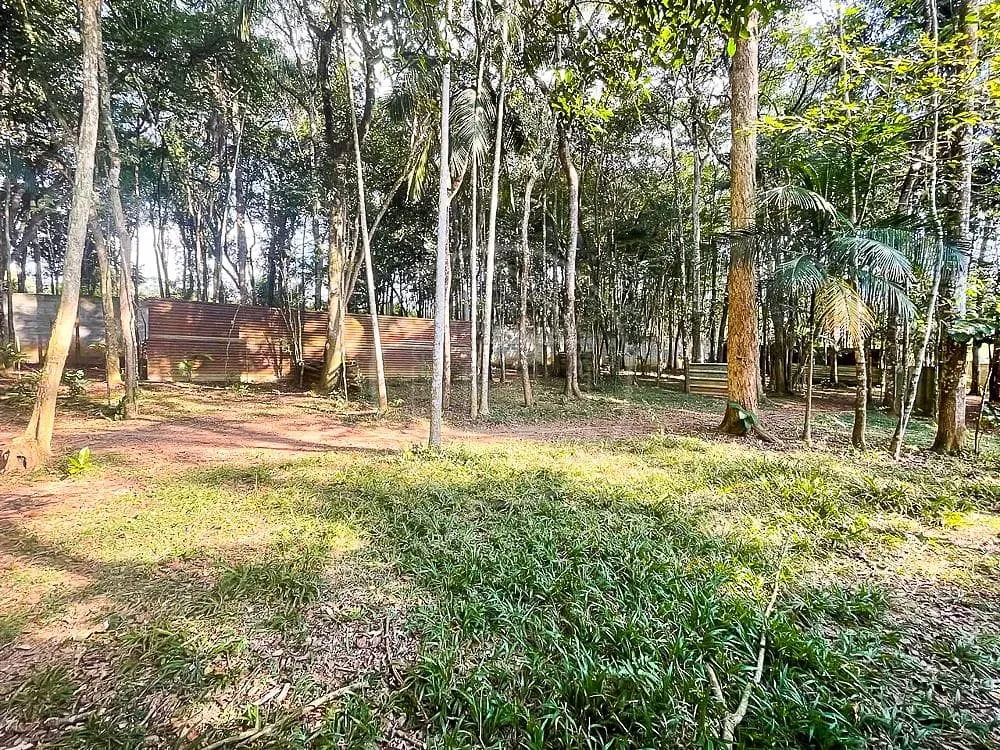 Sítio, 3 quartos, 7426 m² - Foto 83