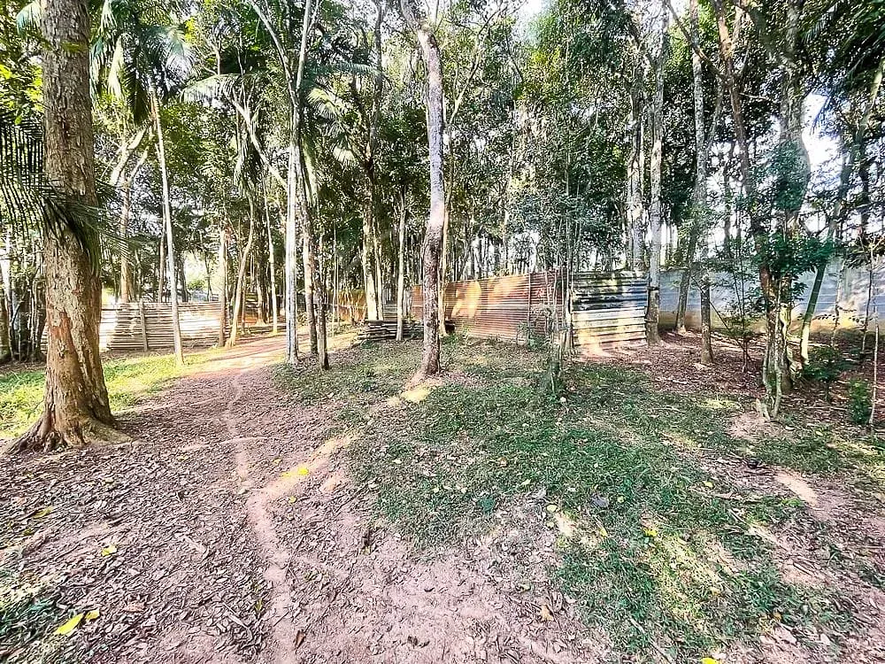 Sítio, 3 quartos, 7426 m² - Foto 3