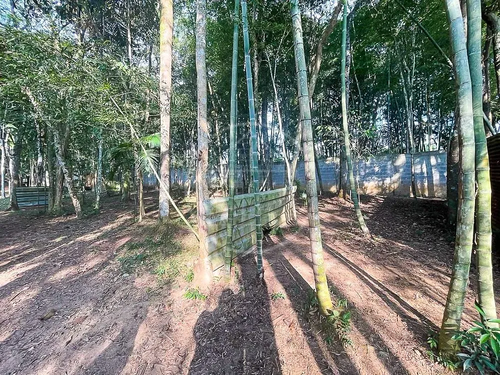 Sítio, 3 quartos, 7426 m² - Foto 6