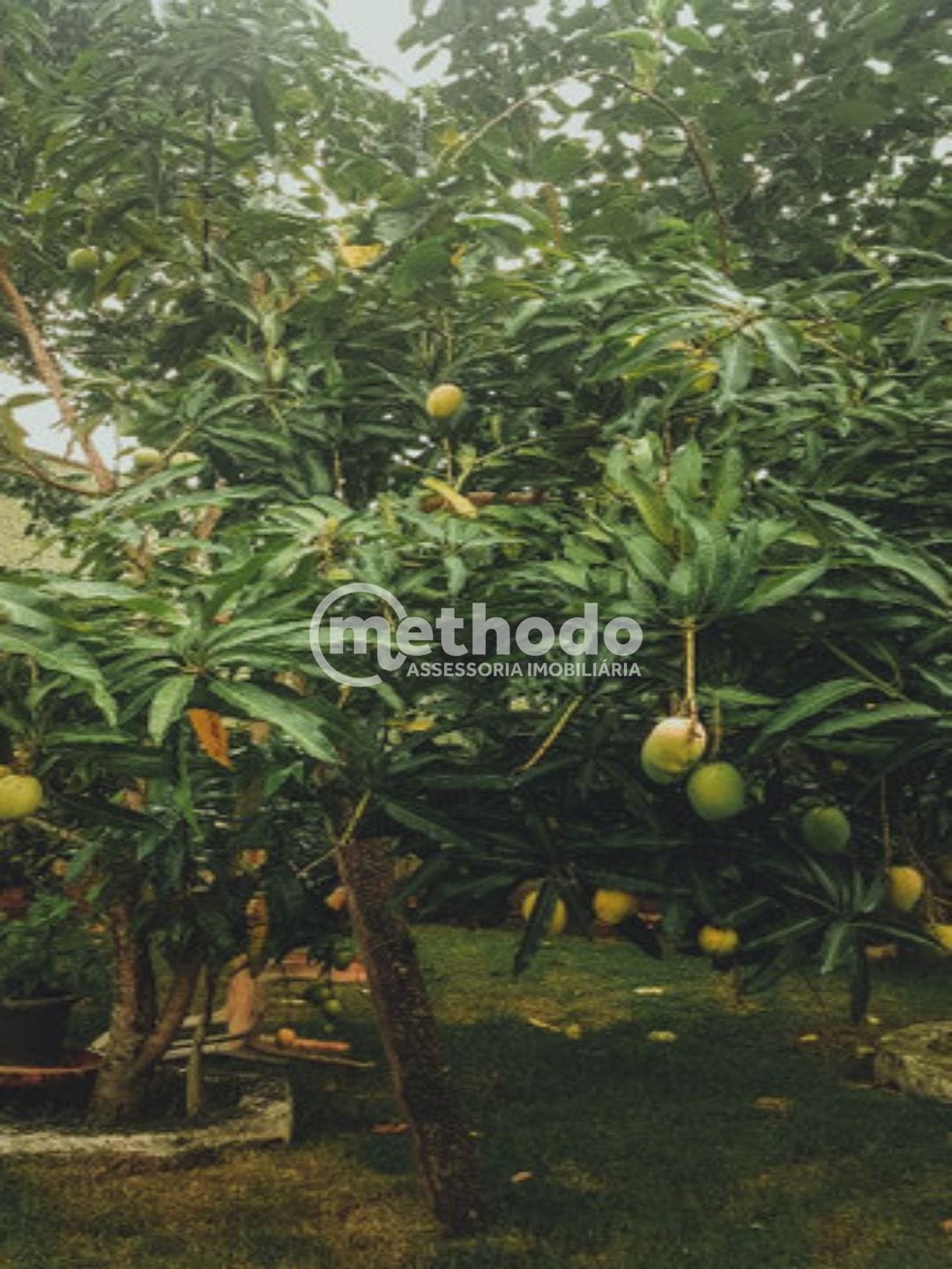 Chácara, 2 quartos, 980 m² - Foto 12