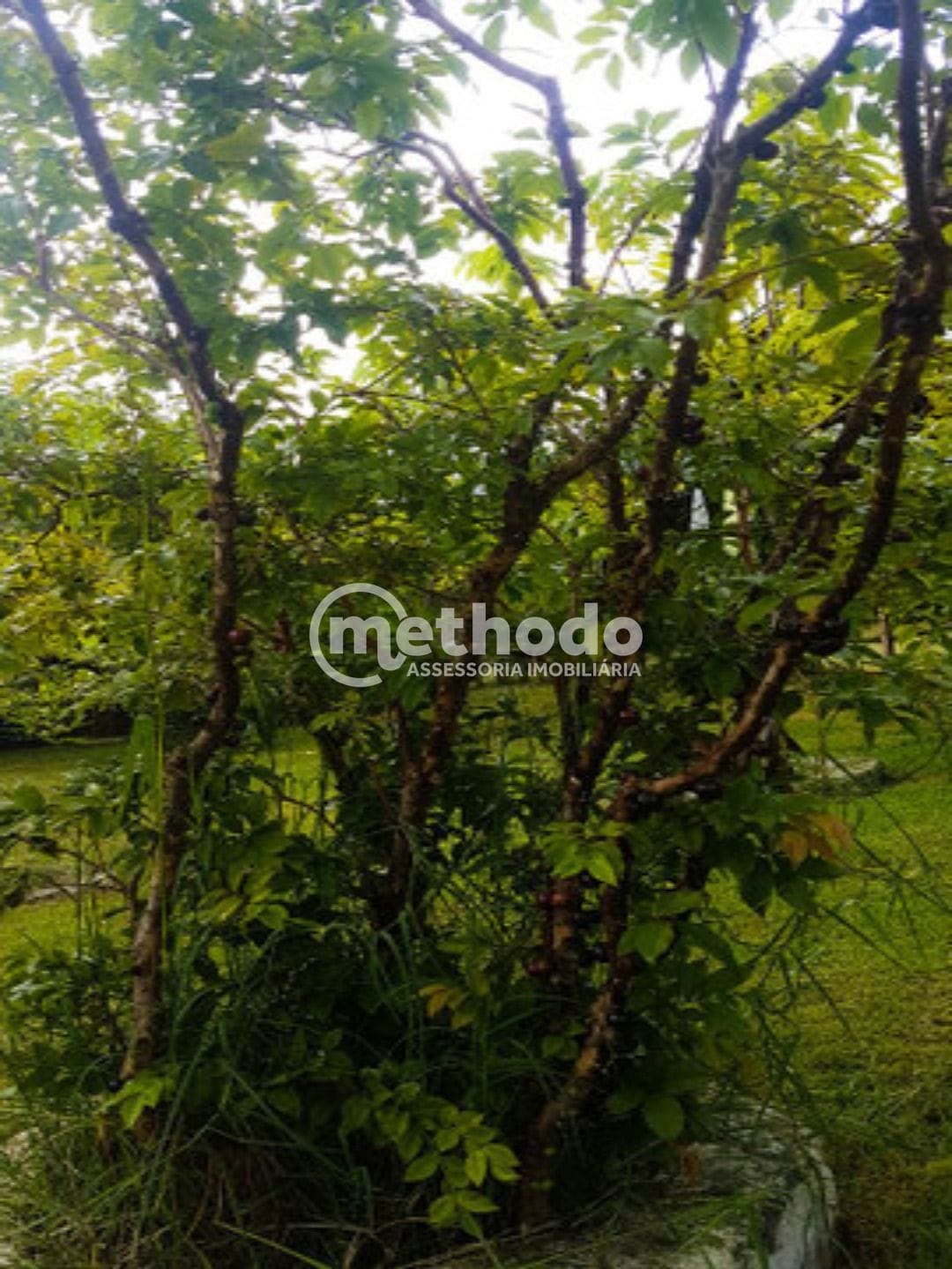 Chácara, 2 quartos, 980 m² - Foto 18