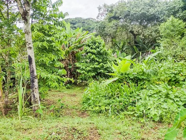 Chácara com 5000m² 2 quartos e 1 banheiro, à venda, no bairro Barragem em São Paulo
