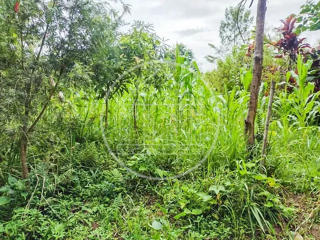 Chácara com 5000m² 2 quartos e 1 banheiro, à venda, no bairro Barragem em São Paulo
