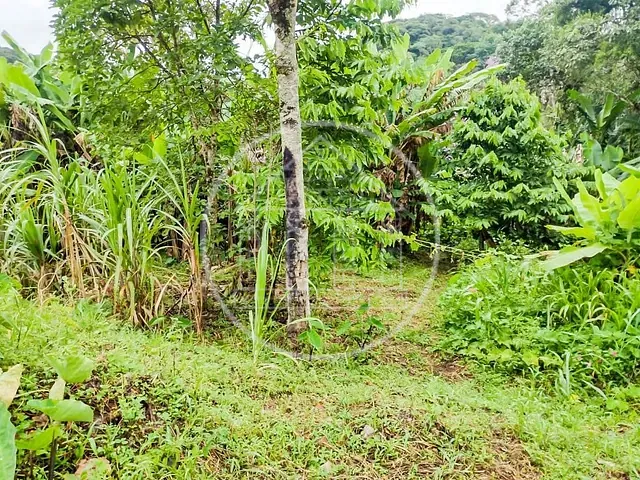 Chácara com 5000m² 2 quartos e 1 banheiro, à venda, no bairro Barragem em São Paulo