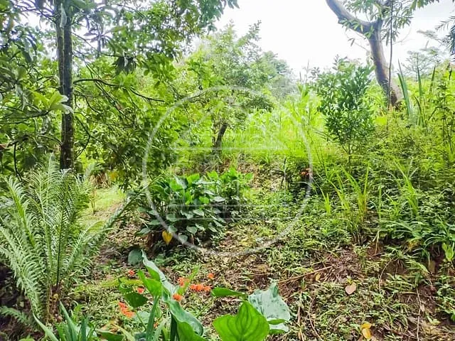 Chácara com 5000m² 2 quartos e 1 banheiro, à venda, no bairro Barragem em São Paulo