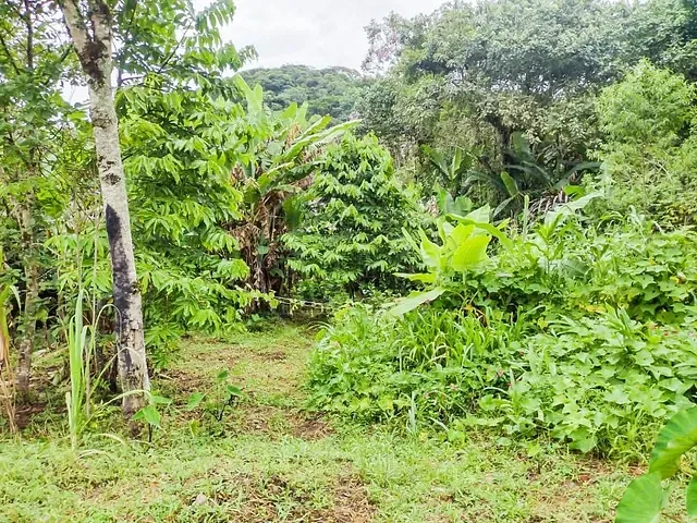 Chácara com 5000m² 2 quartos e 1 banheiro, à venda, no bairro Barragem em São Paulo