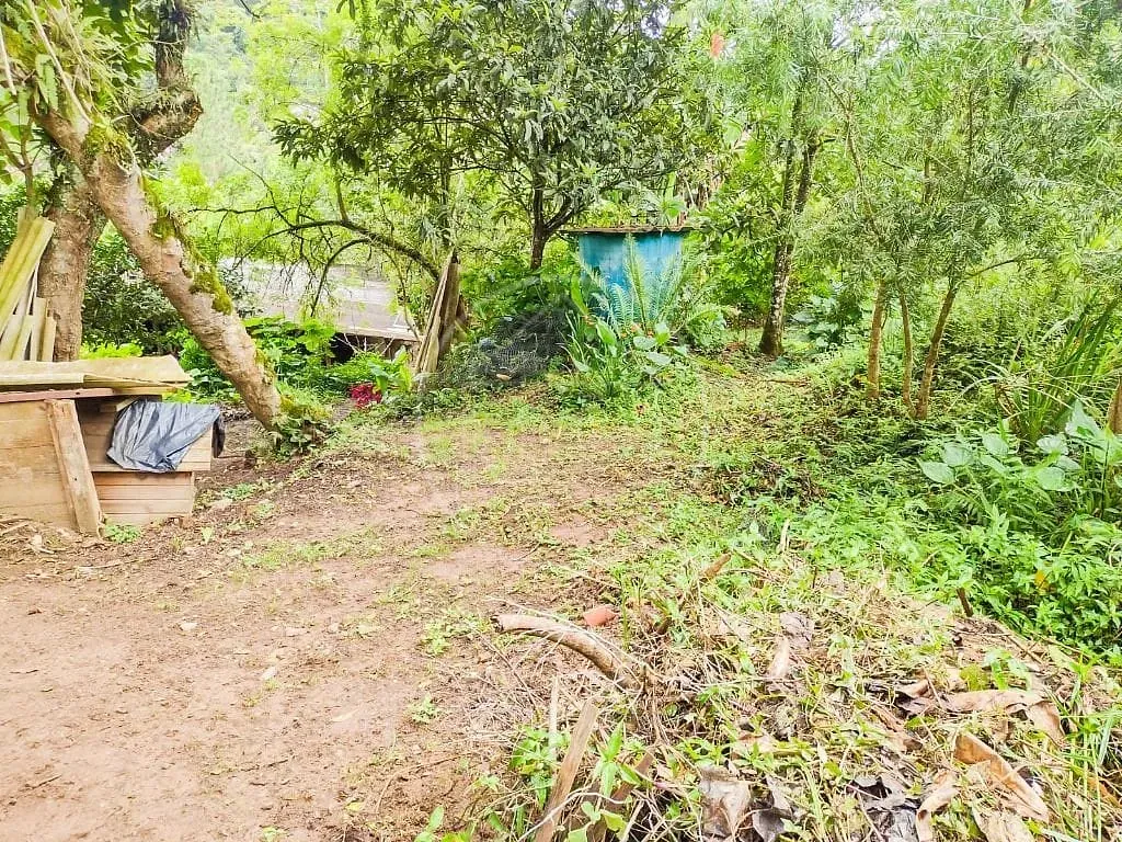 Sítio, 2 quartos, 5000 m² - Foto 3