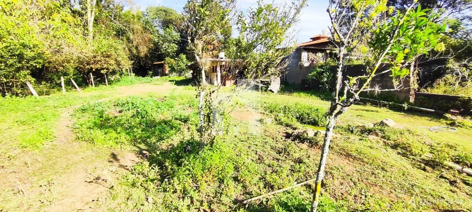 Foto 11