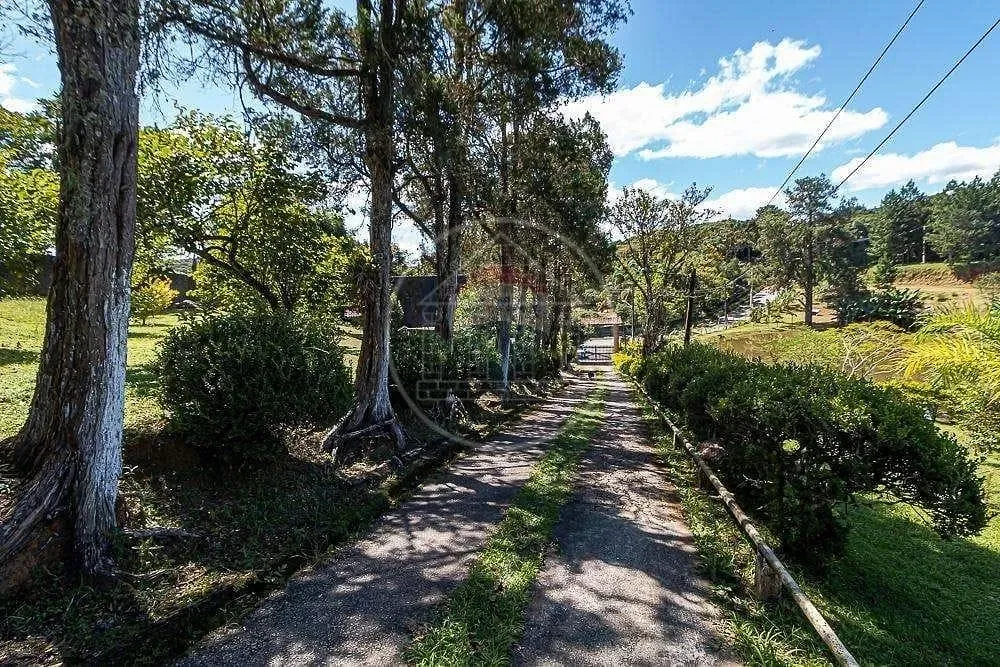 Sítio, 20 quartos, 2000 m² - Foto 5