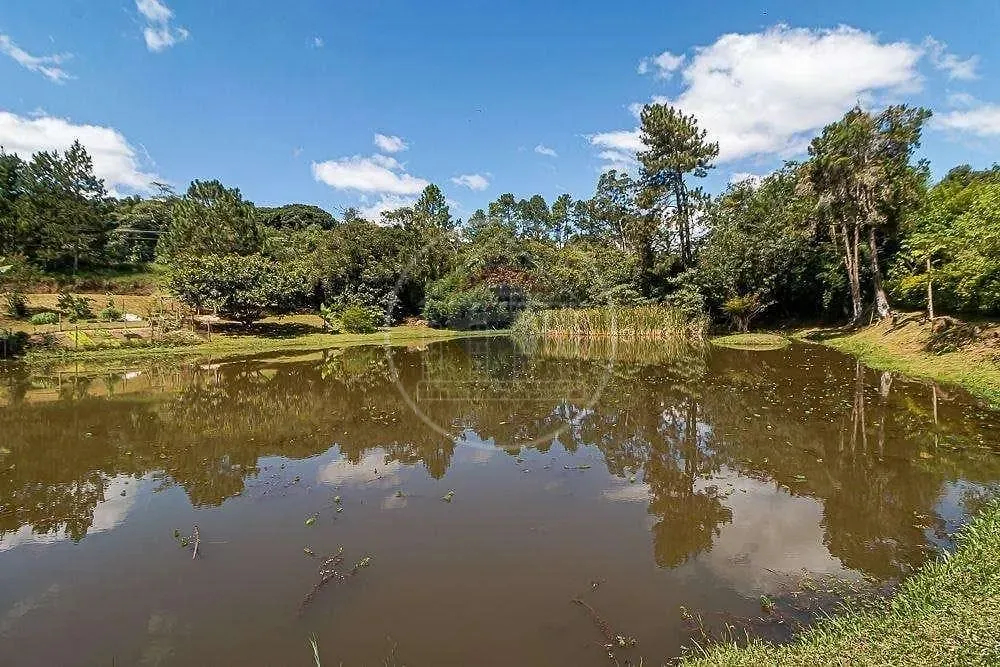 Sítio, 20 quartos, 2000 m² - Foto 4