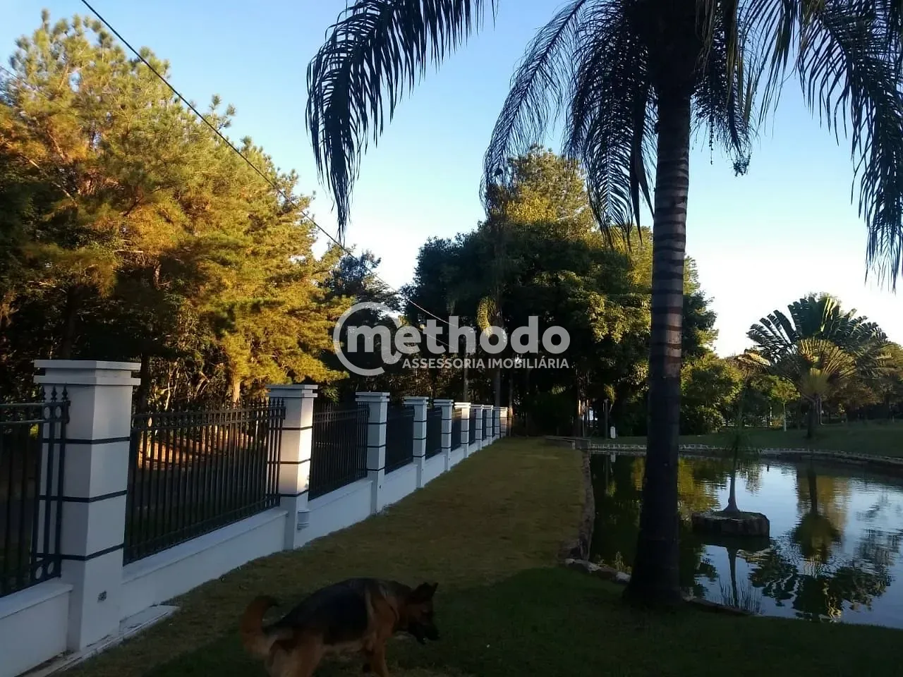 Chácara, 3 quartos, 5200 m² - Foto 19