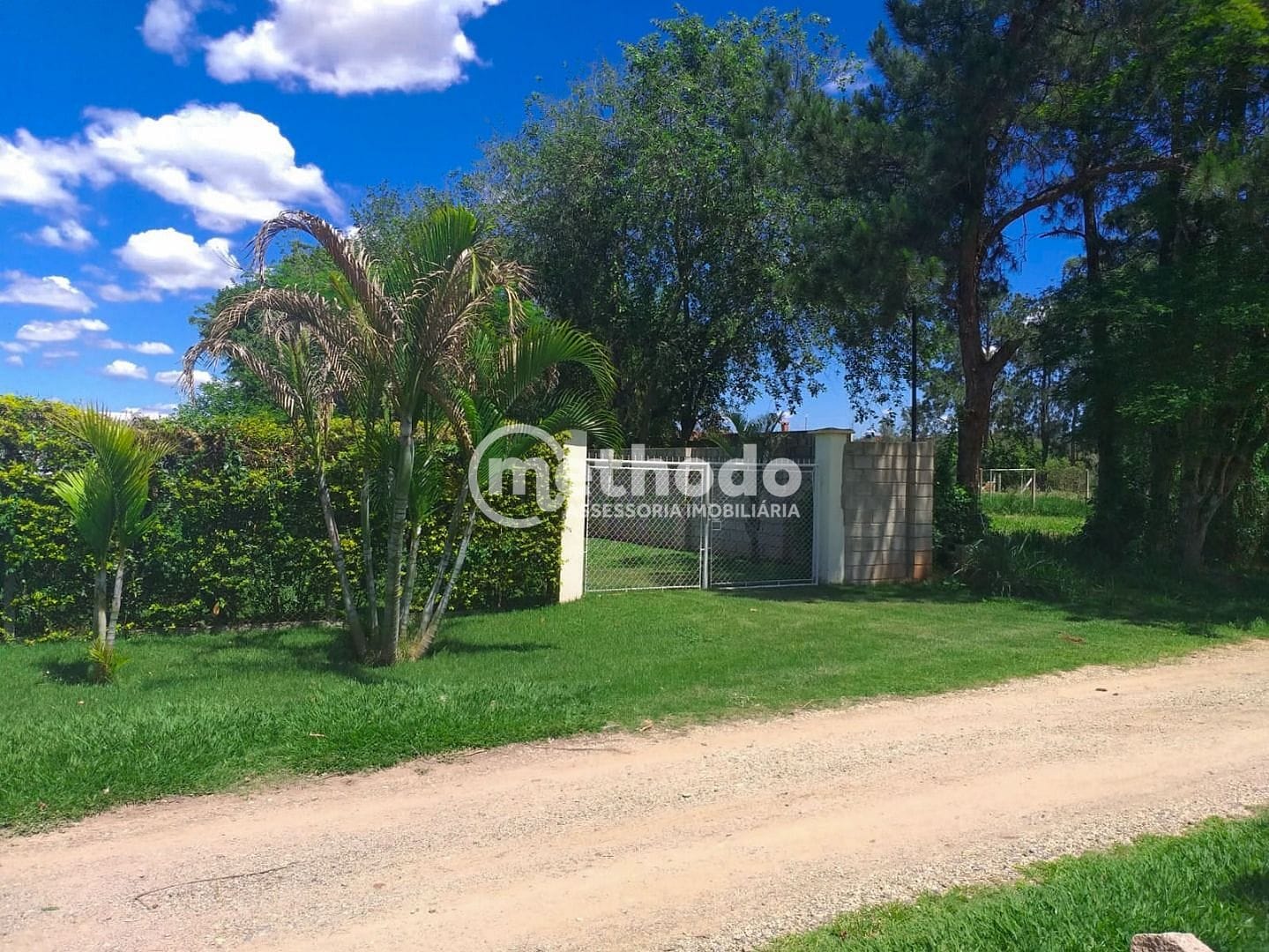 Chácara, 1 quarto, 3000 m² - Foto 8