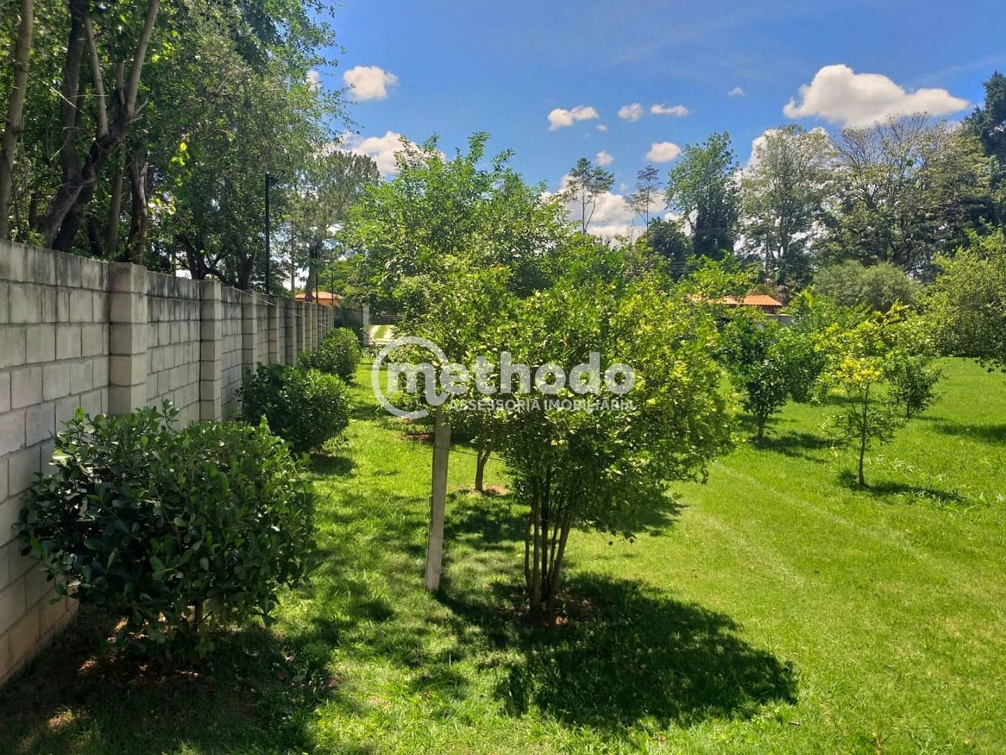 Chácara, 1 quarto, 3000 m² - Foto 10