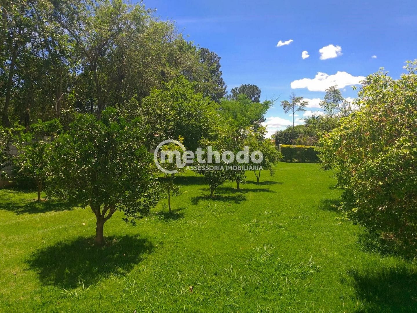 Chácara, 1 quarto, 3000 m² - Foto 4