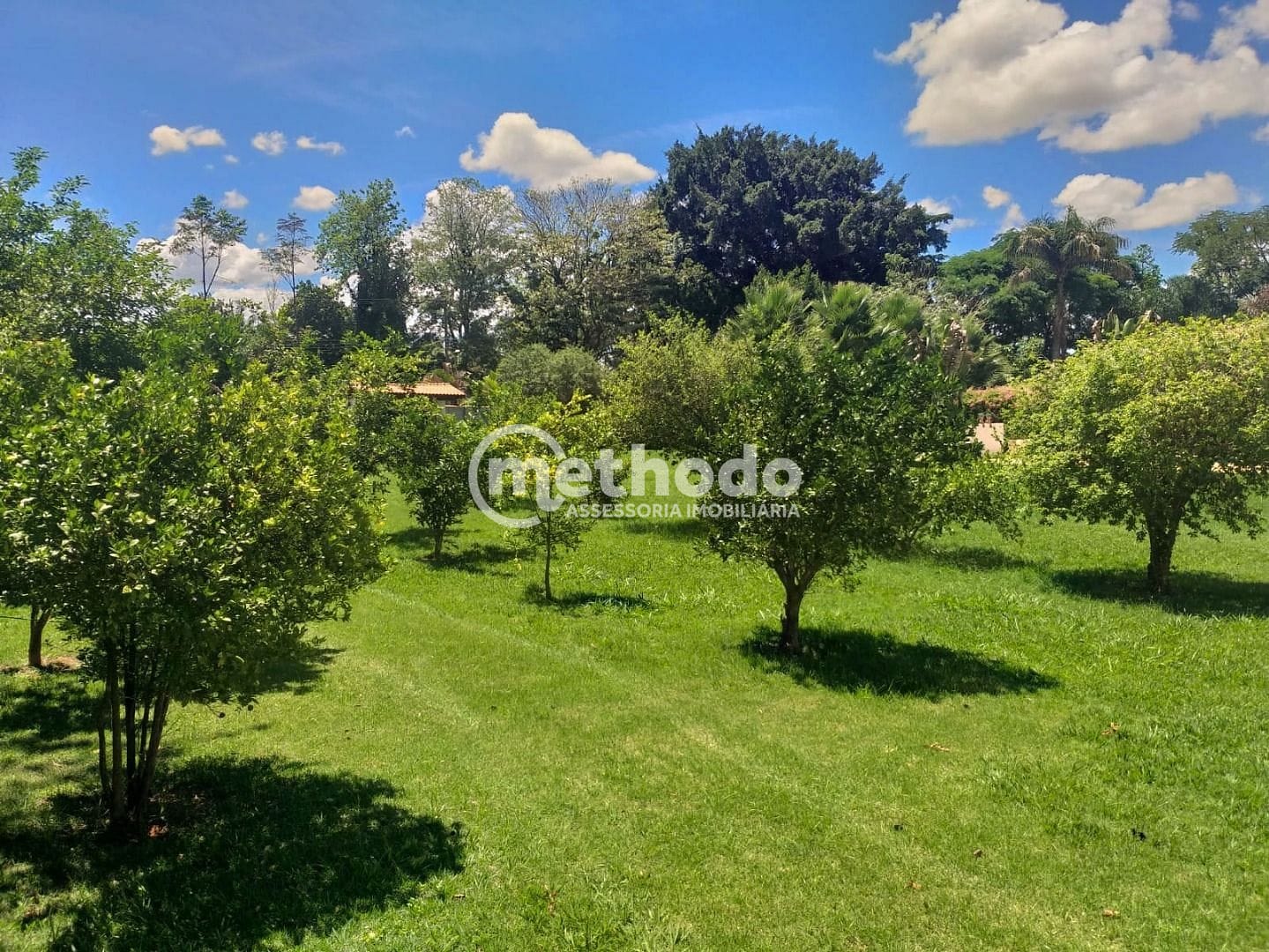 Chácara, 1 quarto, 3000 m² - Foto 12