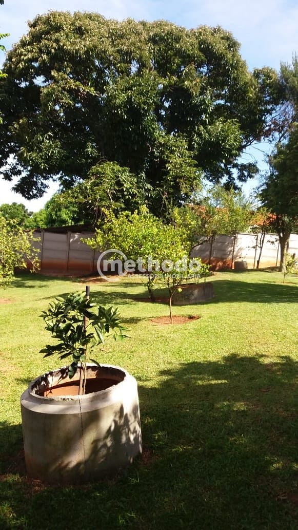 Sítio, 3 quartos, 1211 m² - Foto 7